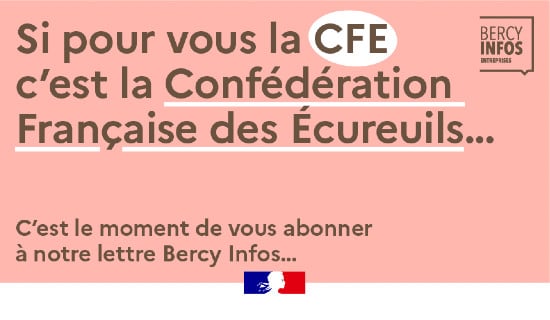 Visuel de la campagne de promotion de la lettre Bercy Infos Entreprises