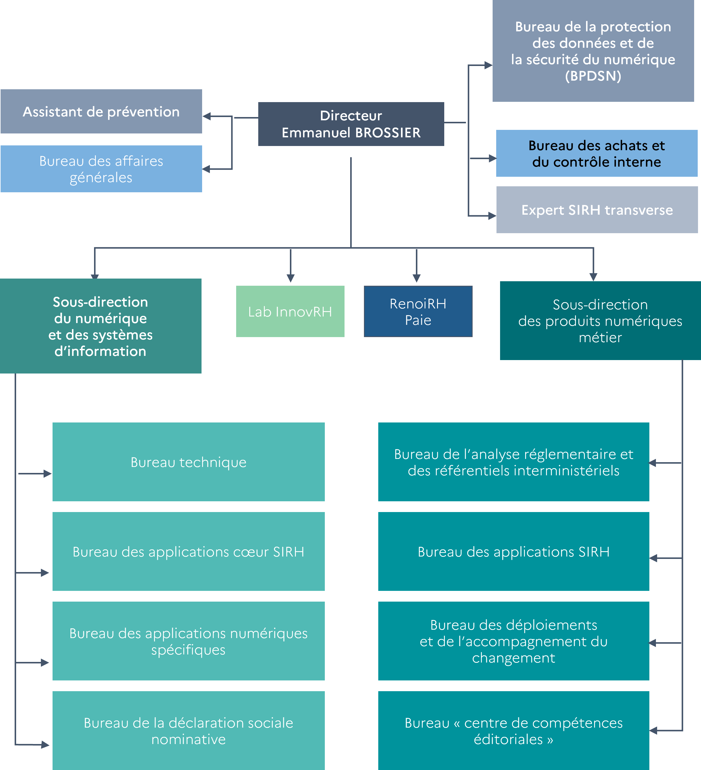 schématisation de l'organigramme du CISIRH