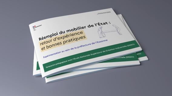 visue-rapport-reemploi