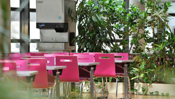 cantine
