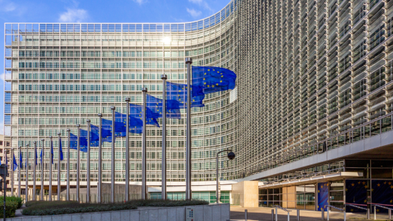 drapeaux de l'Union européenne