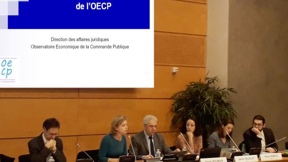 5ème comité d'orientation de l'OECP