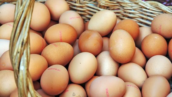 Des oeufs dans un panier