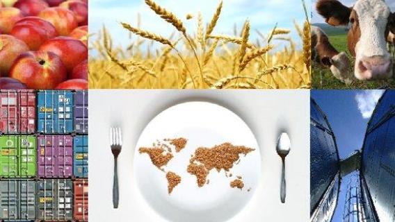 Illustration alimentaire transport