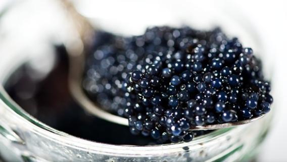 Du caviar dans une cuillère