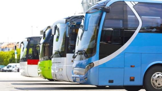 Illiustration de plusieurs autocars rangés en epi