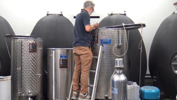 illustration d'une personne controlant du vin