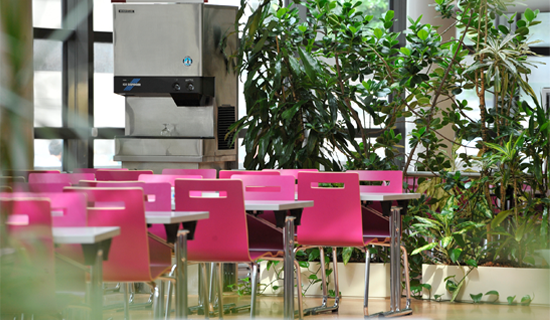 cantine
