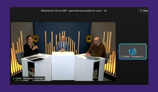 Camille Lapierre, Mathieu Giroir et Pierre Hernando pendant le webinaire